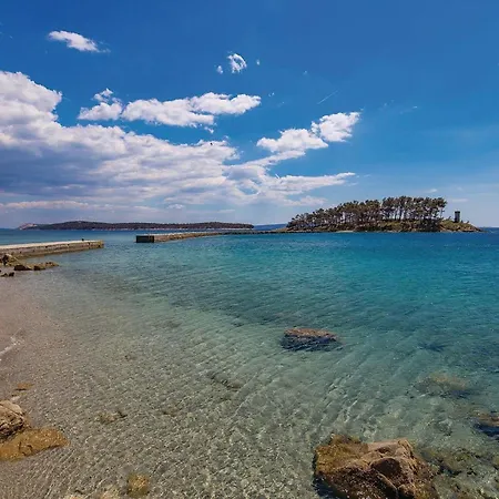 Apartman In With Kitchen